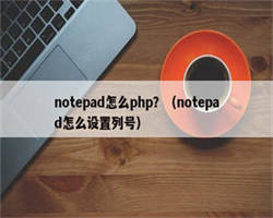 notepad怎么php？（notepad怎么设置列号）