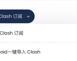 ClashX for Mac 在 macOS 系统下配置使用教程-添加订阅链接详情