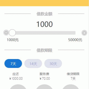 小额现金贷网络贷款系统源码 可打包成APP