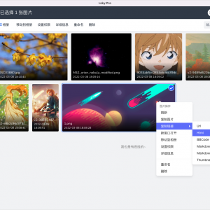 多功能PHP图床源码：Lsky Pro开源版v2.1 – 最新兰空图床