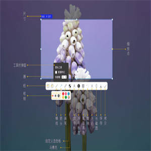 iShot Pro for Mac(专业截图录屏神器) v2.4.6 中文免费版