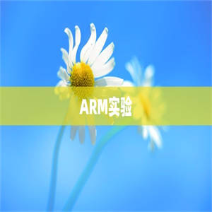 ARM实验