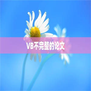 VB不完整的论文