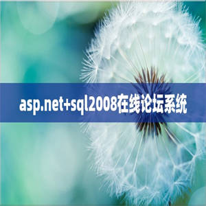 asp.net+sql2008在线论坛系统