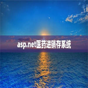 asp.net医药进销存系统
