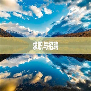 求职与招聘