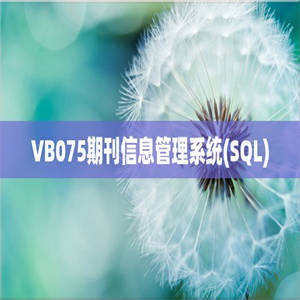 VB075期刊信息管理系统(SQL)