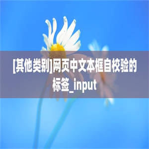 [其他类别]网页中文本框自校验的标签_input