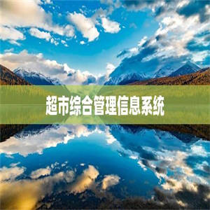 超市综合管理信息系统