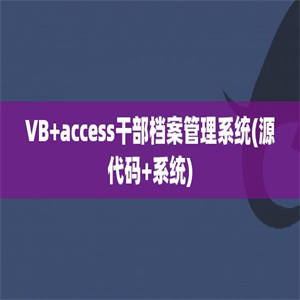 VB+access干部档案管理系统(源代码+系统)