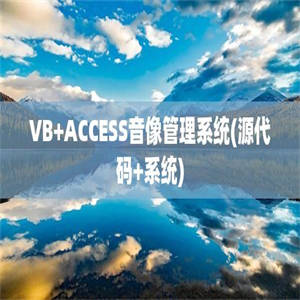 VB+ACCESS音像管理系统(源代码+系统)