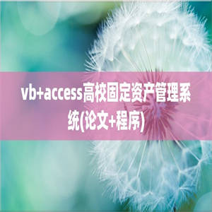 vb+access高校固定资产管理系统(论文+程序)