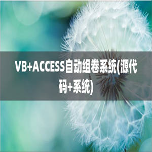 VB+ACCESS自动组卷系统(源代码+系统)