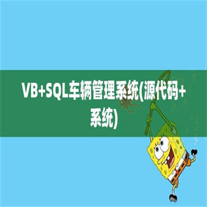 VB+SQL车辆管理系统(源代码+系统)