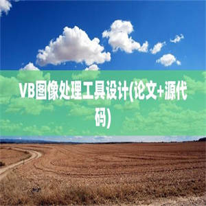 VB图像处理工具设计(论文+源代码)