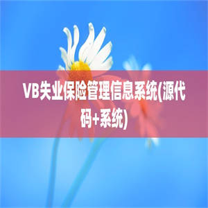 VB失业保险管理信息系统(源代码+系统)