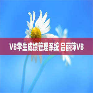 VB学生成绩管理系统 吕丽萍VB