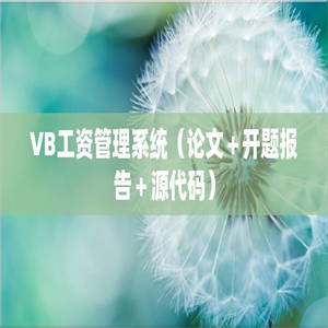 VB工资管理系统（论文＋开题报告＋源代码）
