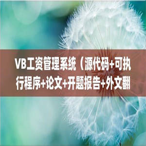 VB工资管理系统（源代码+可执行程序+论文+开题报告+外文翻译+答辩ppt）