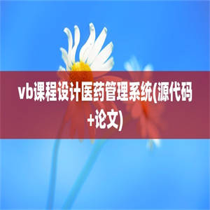 vb课程设计医药管理系统(源代码+论文)