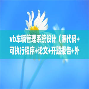 vb车辆管理系统设计（源代码+可执行程序+论文+开题报告+外文翻译+答辩ppt）