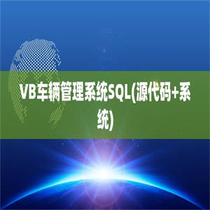 VB车辆管理系统SQL(源代码+系统)