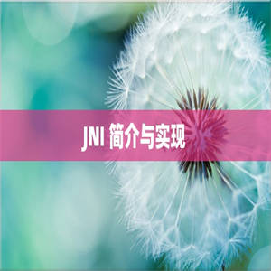 JNI 简介与实现