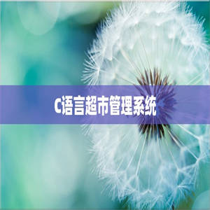 C语言超市管理系统