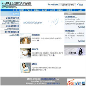 AnyEiP企业内网办公系统 v20180901