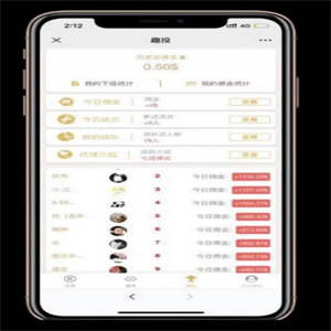 C203 金融理财源码_二开币圈趣投美金版+完整视频带教程