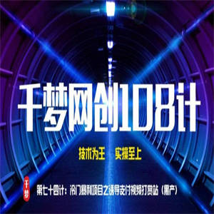 千梦网创108计第74计：冷门暴利项目之支付视频奖励站