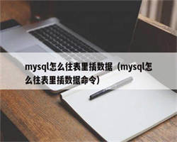 mysql怎么往表里插数据（mysql怎么往表里插数据命令）