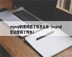 mysql的密码忘了该怎么办（mysql忘记密码了咋办）