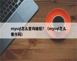 mysql怎么查询编程？（mysql怎么看代码）