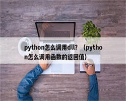 python怎么调用dll？（python怎么调用函数的返回值）