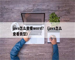 java怎么查看word？（java怎么查看类型）