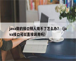 java做的接口别人用不了怎么办？（java接口可以直接调用吗）